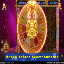 nneca santos acompanhante